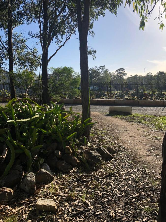 Australian Motor Home Tourist Park Twelve Mile Creek Karuah Esterno foto