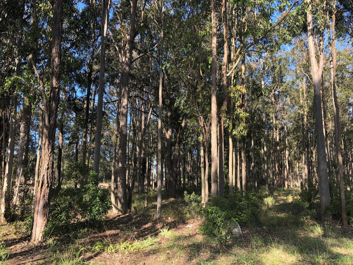 Australian Motor Home Tourist Park Twelve Mile Creek Karuah Esterno foto